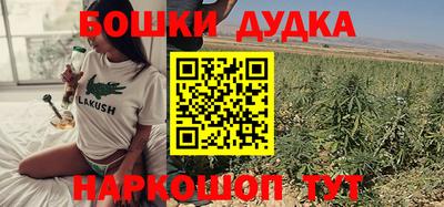 индика Ливны