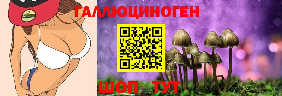 Псилоцибиновые грибы GOLDEN TEACHER Губкинский