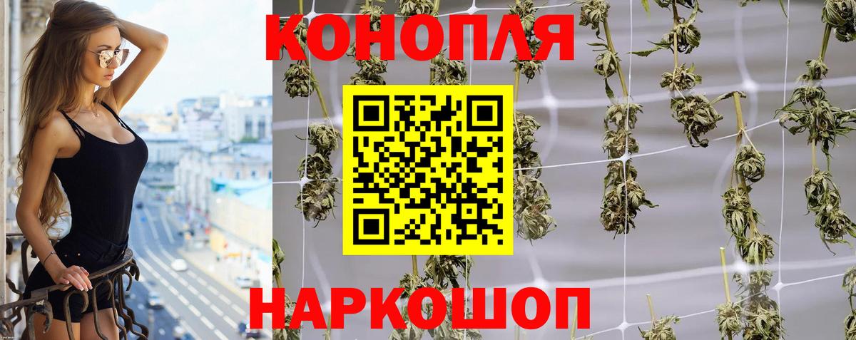 Канабис семена Губкинский